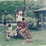 Parte Trasera - Kiosko